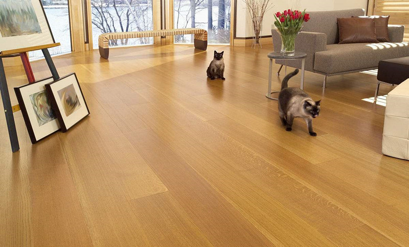 換新地板的房間全部甲醛超標嚴重，地板甲醛超標怎么辦？