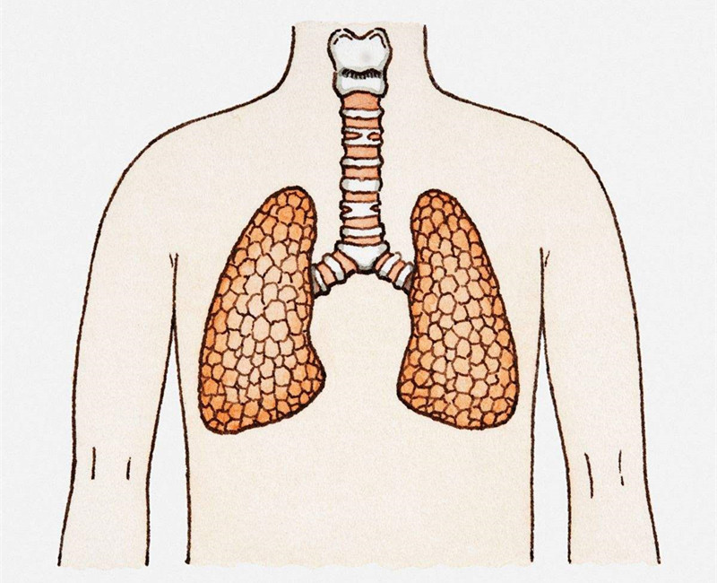 如何進(jìn)行甲醛治理？沒有治理過的空氣就像虐待肺