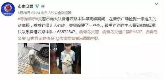 有問(wèn)題找警察，薩摩耶派出所報(bào)案，不注意這件事，對(duì)狗狗致命，警察蜀黍卻幫不上忙！