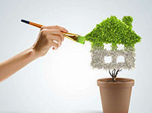 洋蔥可以除甲醛？民間流傳土方法可信嗎？