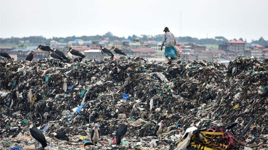 健康四月，環(huán)保政策搶先看！