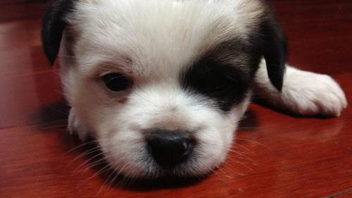 床墊薄膜要撕?jiǎn)?？不僅要撕還要除甲醛！