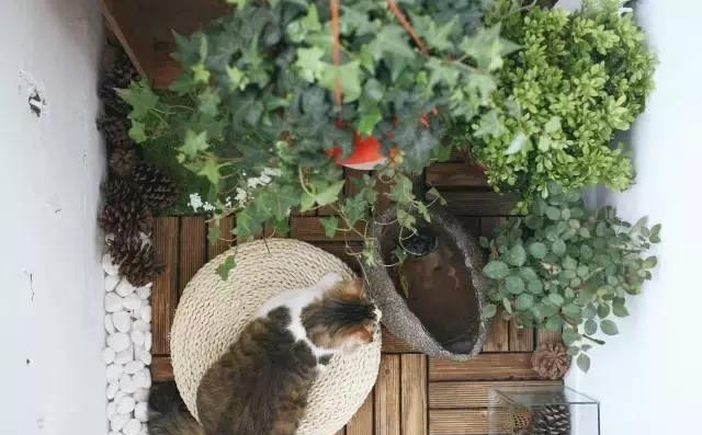 21天3000元重裝出租屋 除甲醛莫忘記！