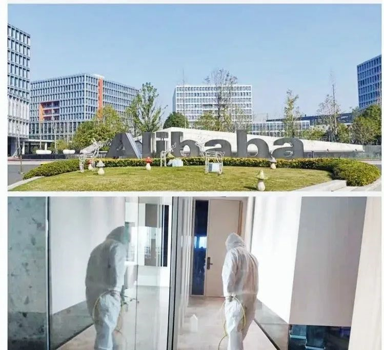 吾志所向，一往無前 | 創(chuàng)綠家2020年大事記