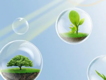 這些甲醛的危害你知道嗎？