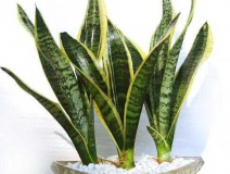 光觸媒是什么、原理及其作用