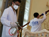 創(chuàng)綠家成為室內(nèi)除甲醛公司佼佼者的優(yōu)勢(shì)有哪些？除甲醛加盟商信賴的原因