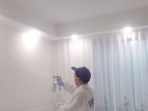 什么辦法去除甲醛比較好？