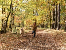 為什么秋季裝修異味這么重？甲醛超標(biāo)怎么辦