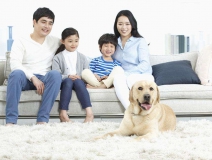 家里甲醛超標(biāo)怎么辦，受污染影響的人群有哪些