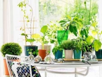 90%的家庭都甲醛超標(biāo)？所以要盡快找一家專業(yè)的除甲醛公司