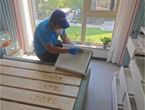 如何有效地除甲醛？