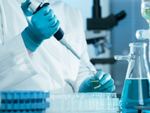 綠植真的能除甲醛嗎？