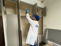 偏方真的能除甲醛嗎？