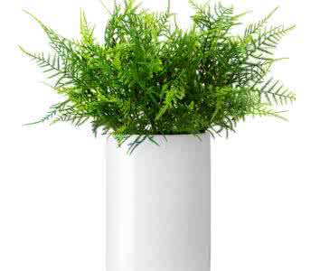 除了找除甲醛公司尋求幫助，還有什么辦法可以去毒